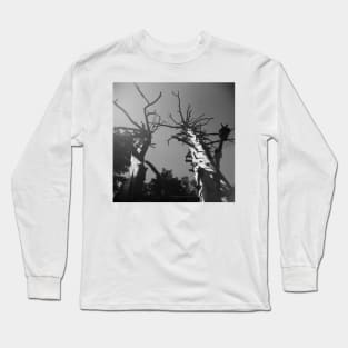 Glacier National Park Trees Long Sleeve T-Shirt